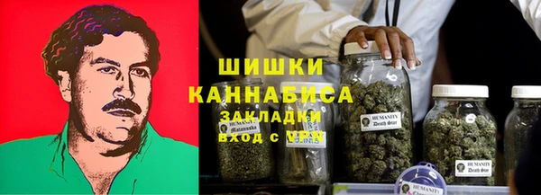дурь Пестово