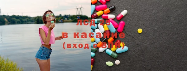 ПСИЛОЦИБИНОВЫЕ ГРИБЫ Пересвет