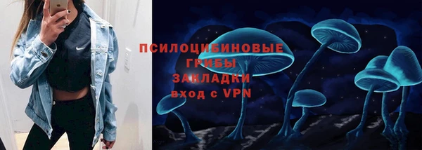 бошки Переславль-Залесский