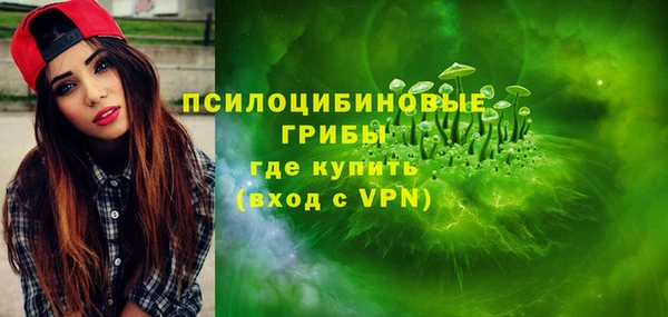 бошки Переславль-Залесский