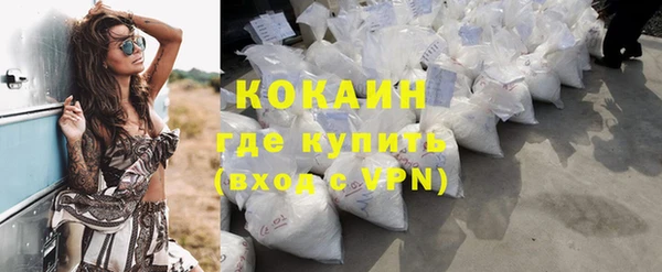 дурь Пестово