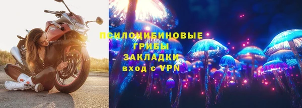 ПСИЛОЦИБИНОВЫЕ ГРИБЫ Пересвет