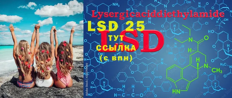 дарк нет состав  Трубчевск  LSD-25 экстази ecstasy 