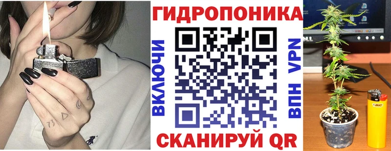 гидра маркетплейс  Трубчевск  Канабис планчик  купить  сайты 